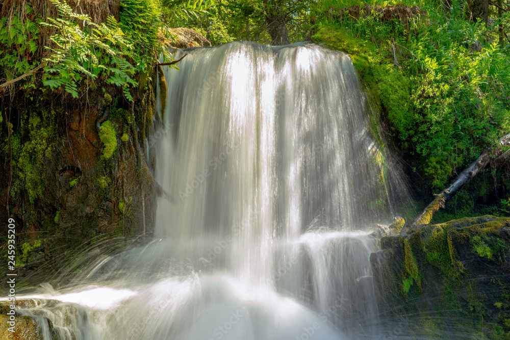 Small waterfall in the green forest Small waterfall in the green forest