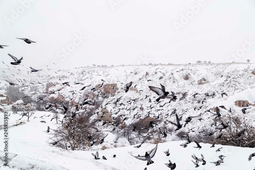The pigeon valley in Capadoccia,Turkey. winter and travel concept . © SmeyyeTuba