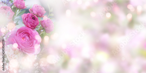 Tender pink roses background