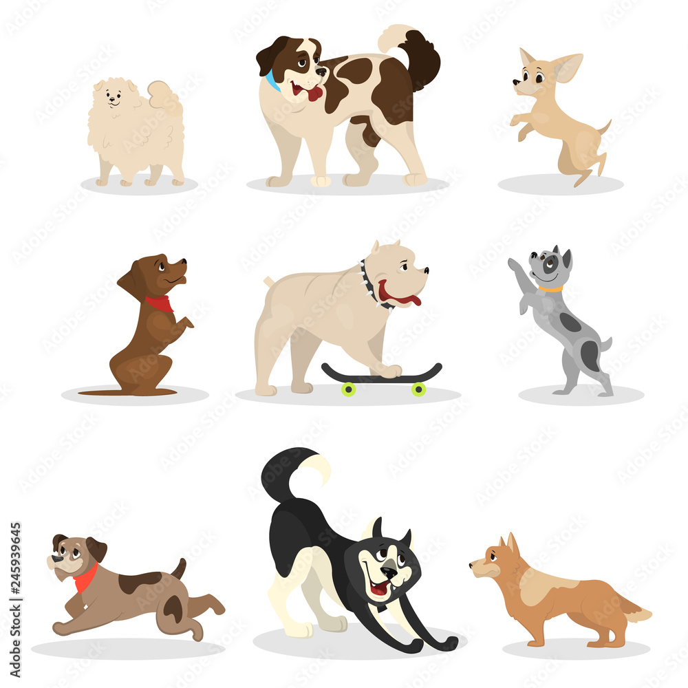 Dog set. Collection of pet doing different activity Dog set. Collection of pet doing different activity