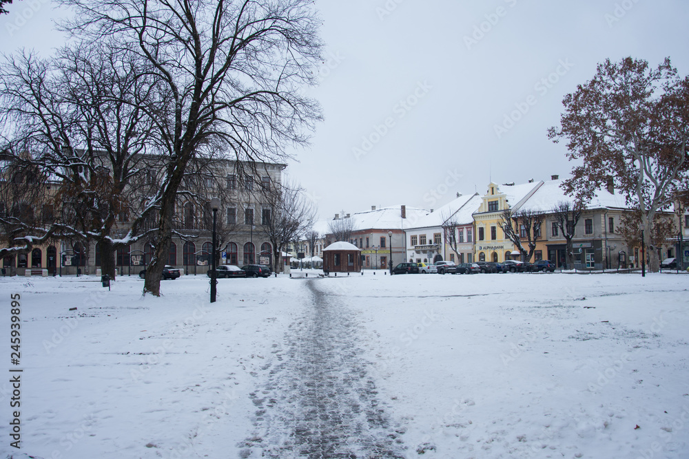 Romania, Bistrita ,the City Hall building,WINTER 2019 Romania, Bistrita ,the City Hall building,WINTER 2019