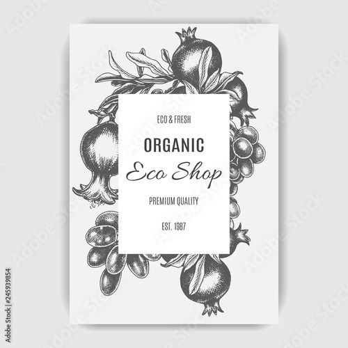 Hand drawing illustratiion pomegranate colorful. Vector illustration for organic shop. photo