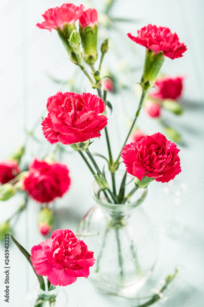 Bouquet of pink carnation in glass vase on light turquoise wooden background. Mothers day, birthday greeting card. Bouquet of pink carnation in glass vase on light turquoise wooden background. Mothers day, birthday greeting card.