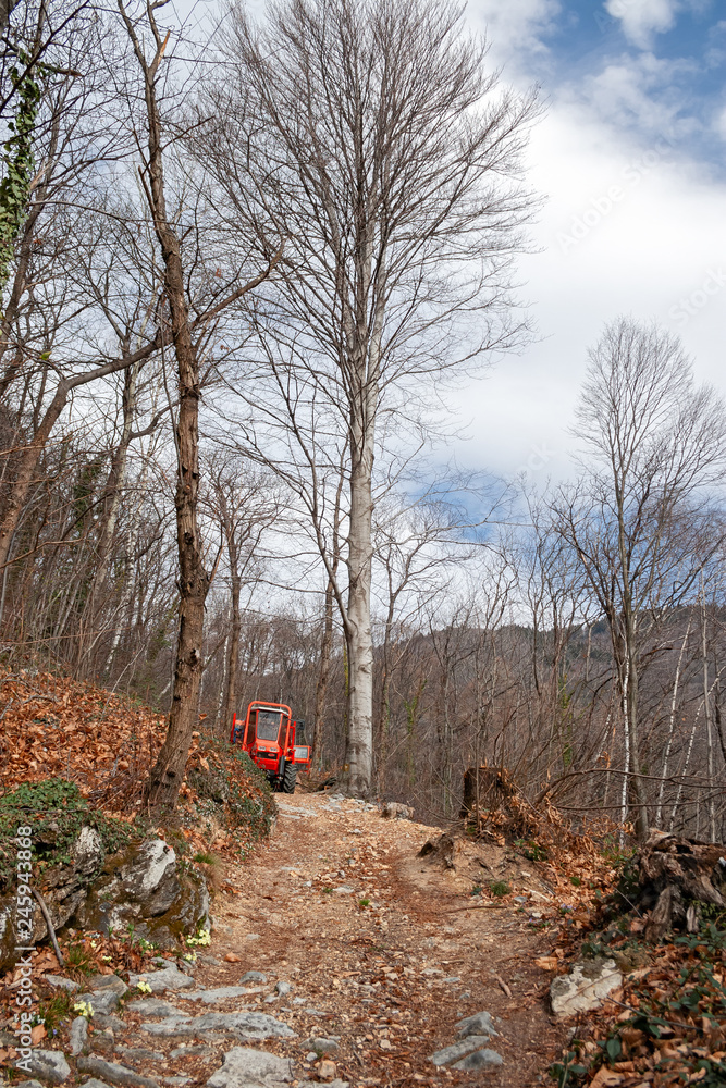 Modern tractor at work on a road in the woods