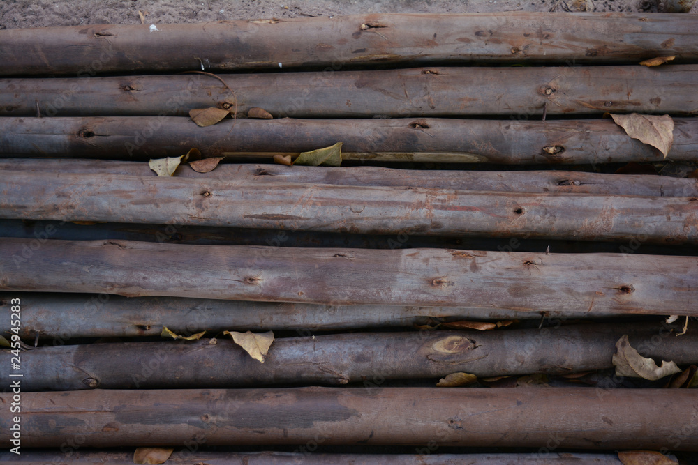 the stack of eucalyptus trees with dry leaves the stack of eucalyptus trees with dry leaves
