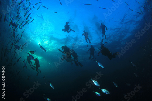 Scuba divers, fish and coral reef underwater  © Richard Carey