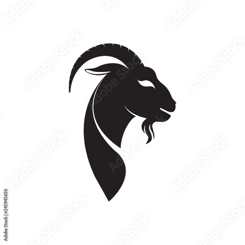 Horned goat head vector illustration