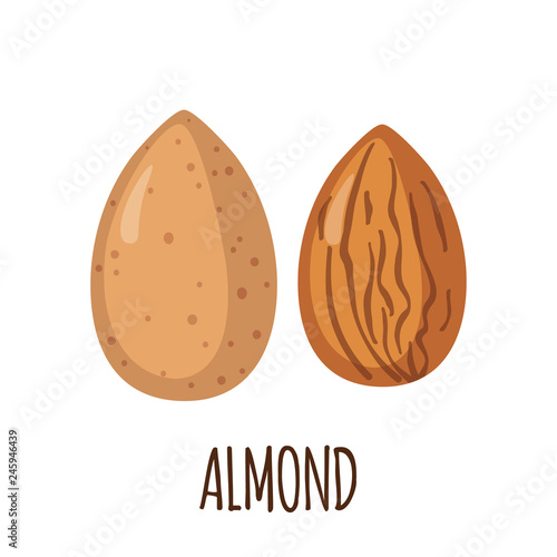 Almond icon in flat style isolated on white.