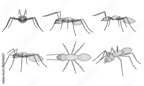 Set with ants