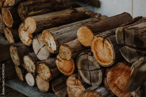 pile of wood logs