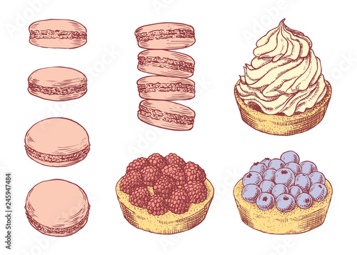 Set of delicious hand drawn creamy biscuit, french macaroons and tarts with berries. Engraving style vintage vector lineart colored illustration. Collection of sweet desserts.