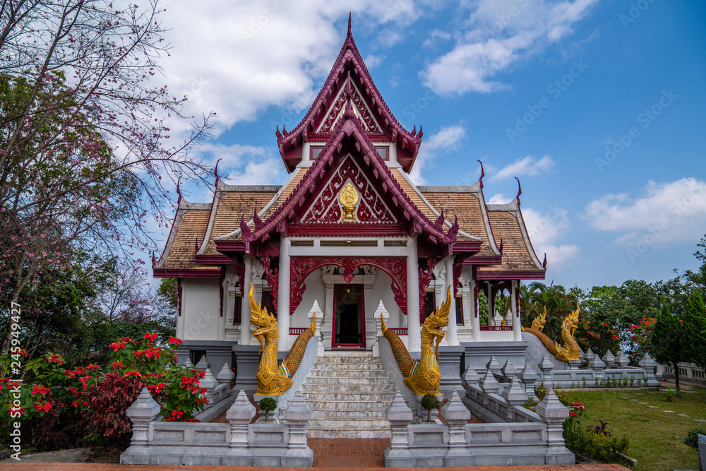 Buddhist Thai temple with pink cherry blossom sakura tree. Sakura in buddhist temple. 