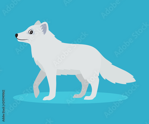 Cute arctic fox or polar fox icon, isolated on blue background, wild snow furry beast, vector illustration in flat style
