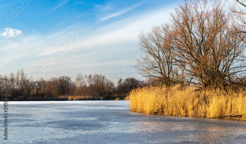 A frozen lake. Przylasek Rusiecki. Poland