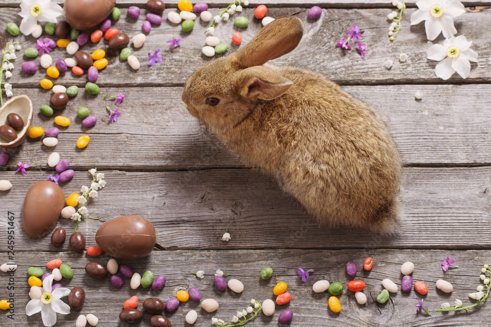 Fototapeta premium Easter rabbit with chocolate eggs on old wooden background