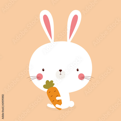 cute bunny rabbit