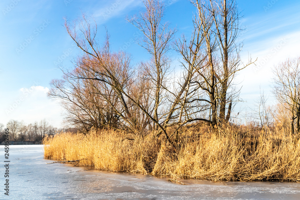 A frozen lake. Przylasek Rusiecki. Poland A frozen lake. Przylasek Rusiecki. Poland