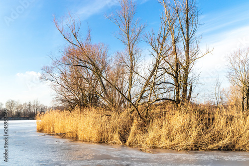 A frozen lake. Przylasek Rusiecki. Poland © Krzysztof Tabor