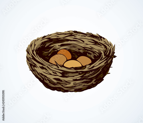 Nest. Vector drawing