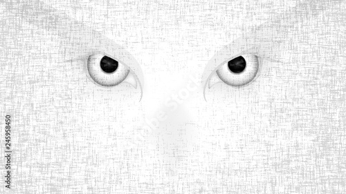Halloween staring scary spooking evil Owl eyes on dark grunge background