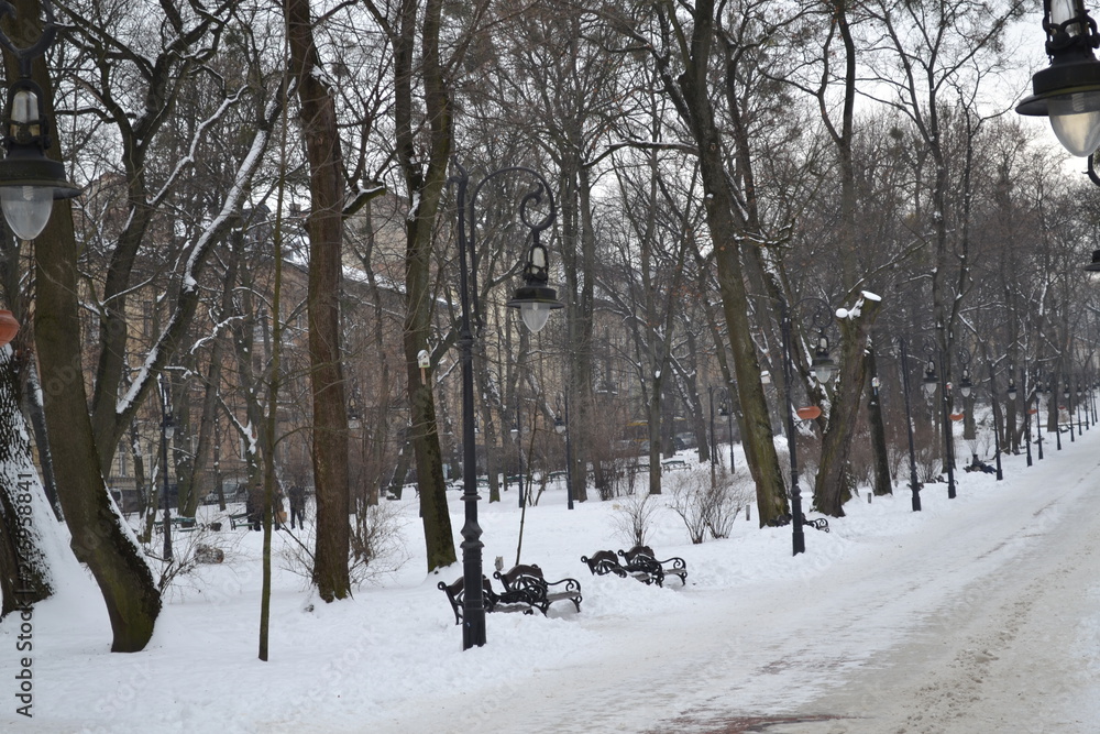 PARK PARK