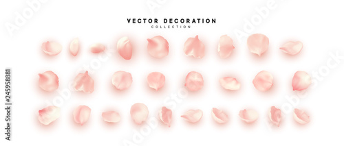 Flower petals realistic pink colors, isolated on white background. Leaf floral,