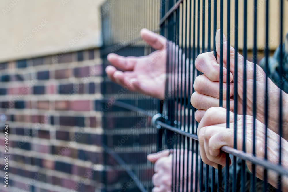 People are behind a fence People are behind a fence
