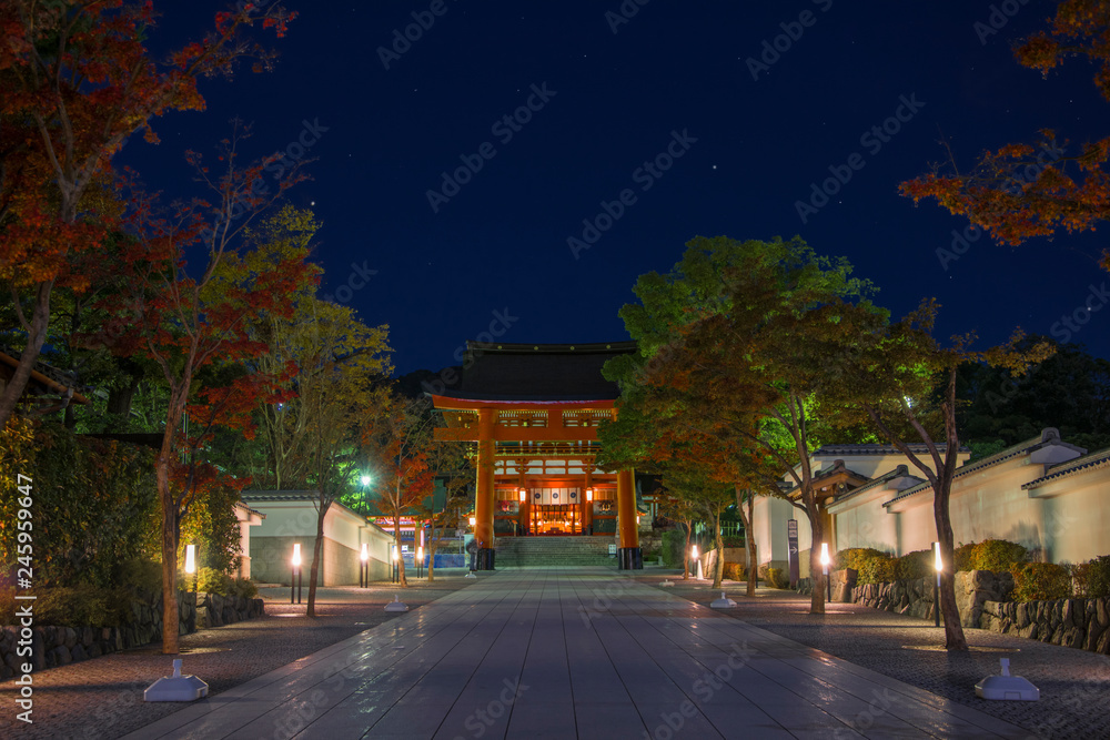 日本庭園の神社と紅葉②