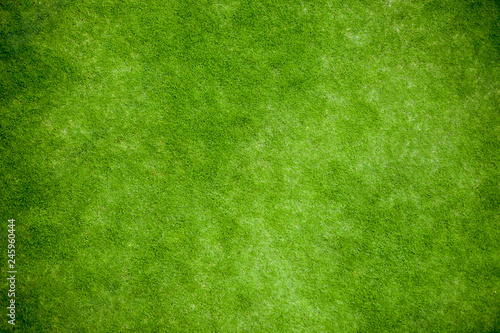 Green grass, lawn top view