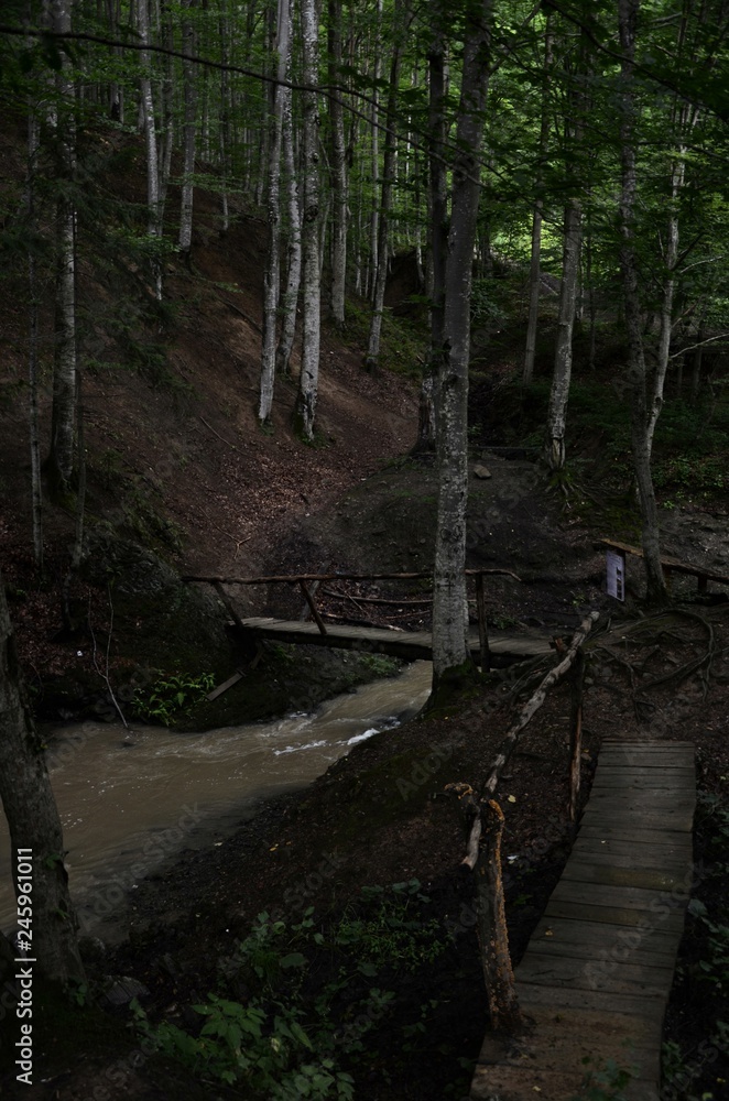Bridge to the depths of consciousness Bridge to the depths of consciousness