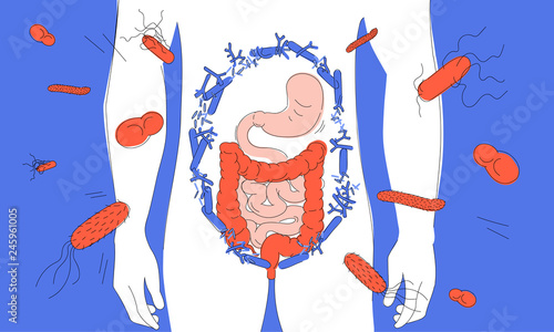 Male digestive tract as a container of useful and harmful bacterias. Three-colored vector illustration for web and printing.
