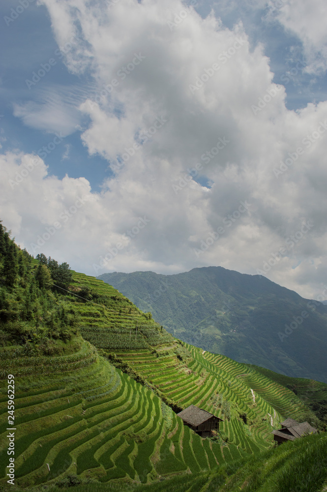 Rice Terraces Paddy and cottages Longsheng China