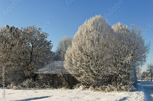 Winter am Niederrhein photo