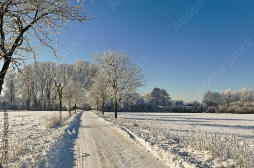 Winter am Niederrhein