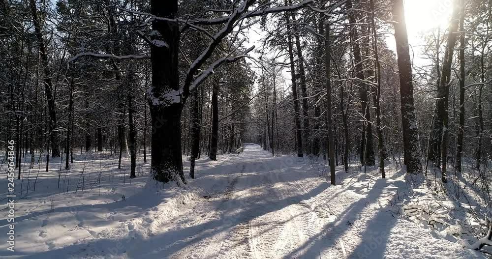 Winter in the forest. First Person Shooting Winter in the forest. First Person Shooting