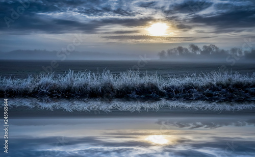Cold foggy landscape, field...