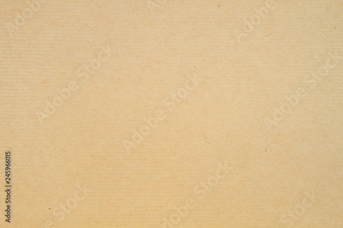 Old paper kraft texture or background photo