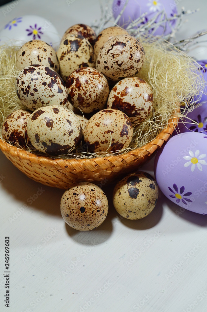 Quail eggs in a basket  - Easter composition.Easter Tradition - Selective focus