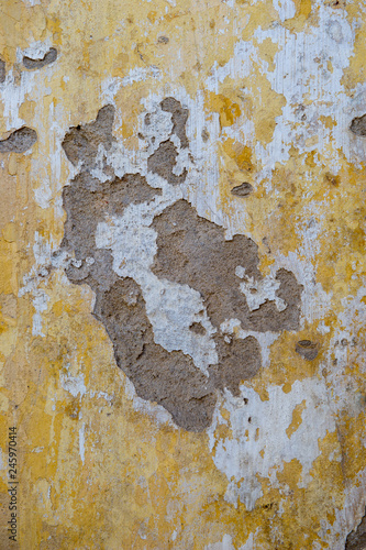 wall plaster