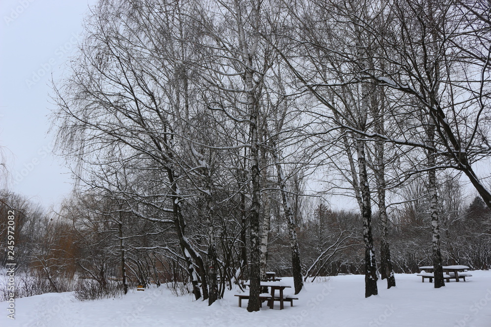 A lakeside park stands covered in snow in winter A lakeside park stands covered in snow in winter