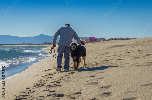 Friendship concept, man and his dog walking on beach. 