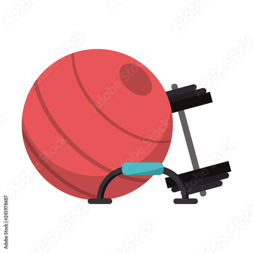 fitness ball push up bars and dumbbells