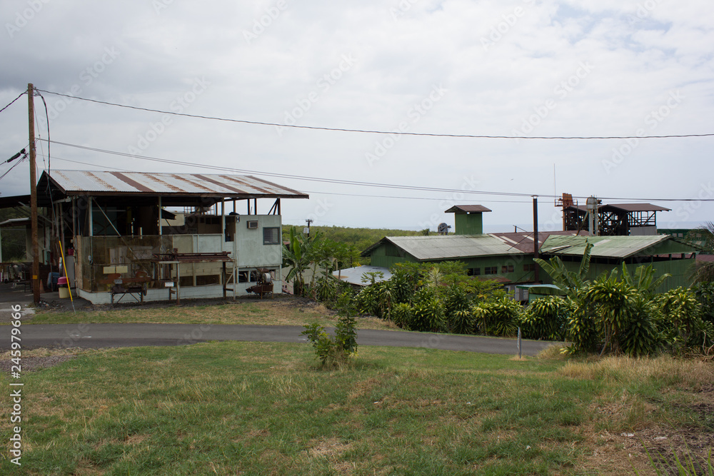 Cafe Farm auf Hawaii