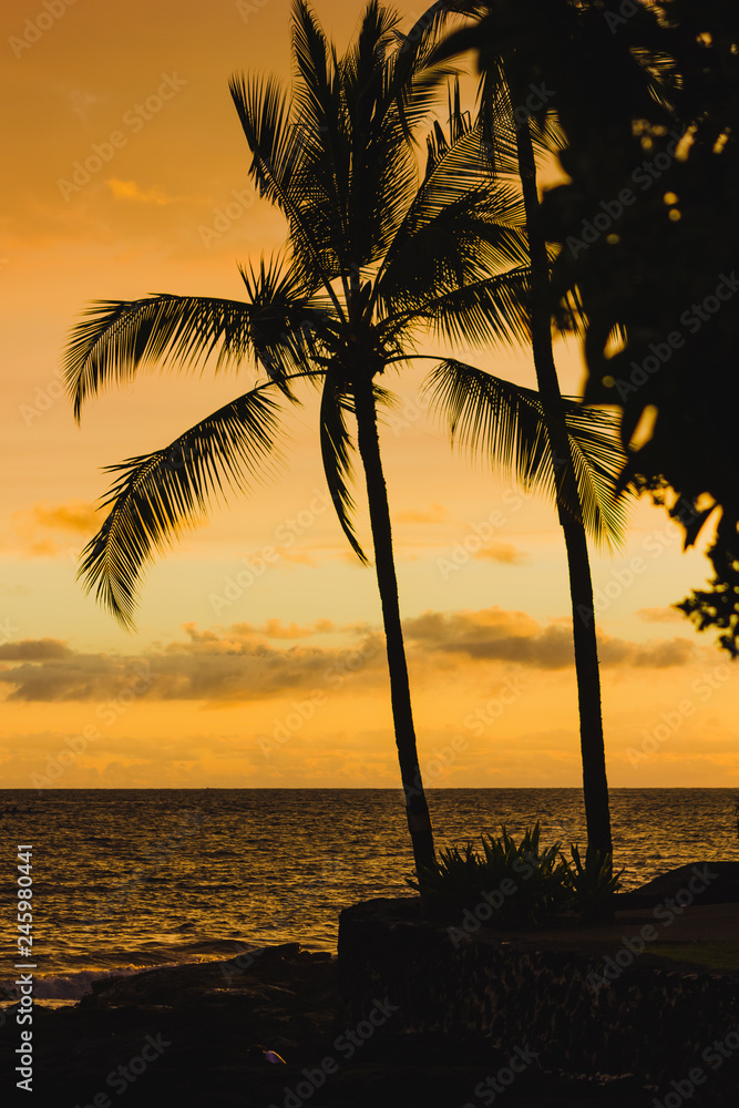 Einsame Insel mit einer Palme beim Sonnenuntergang auf Hawaii