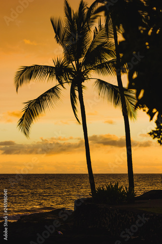 Einsame Insel mit einer Palme beim Sonnenuntergang auf Hawaii
