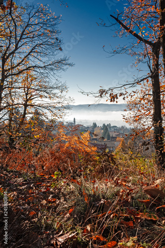 Panoramic view of a village from the woods in its autumn garment