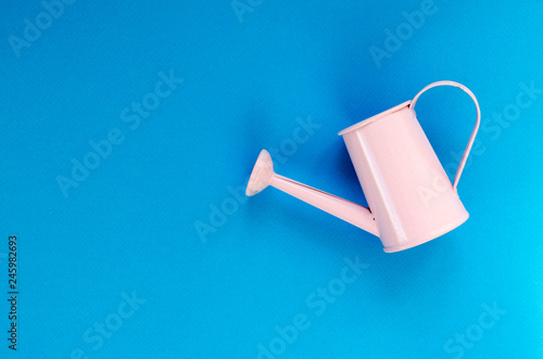 pink small watering can on blue background