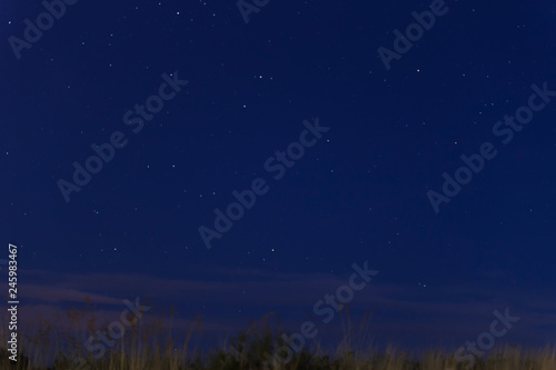 view of blue night sky starry with grass moving through air garter 