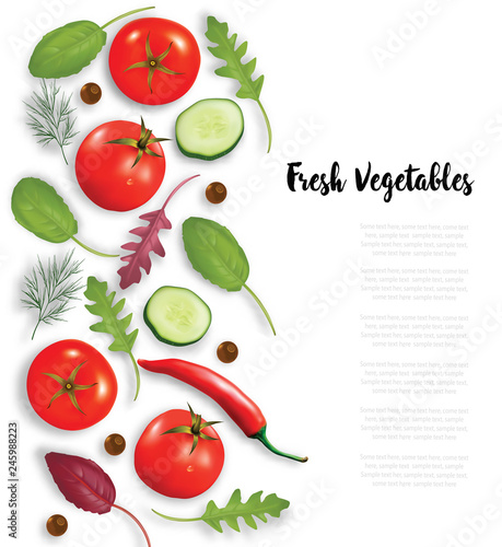 Fresh vegetables, herbs and spices frame. Food concept. Vector illustrtion