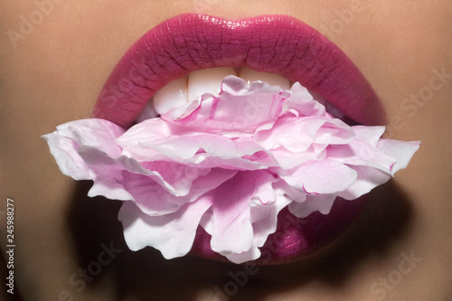 Close up of woman's lips with pink flower between her teeth